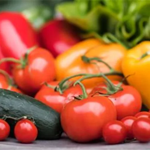 Gartentipps im Juli