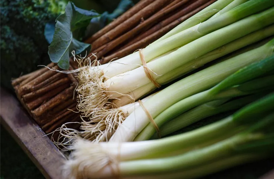 Das große Comeback der Gemüse-Sorten! Das große Comeback der Gemüse-Sorten!