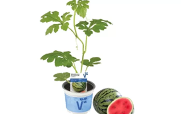 MustermannProspekte.png