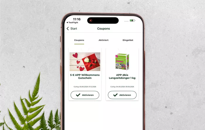 Mockup_Coupons_Radloff.png