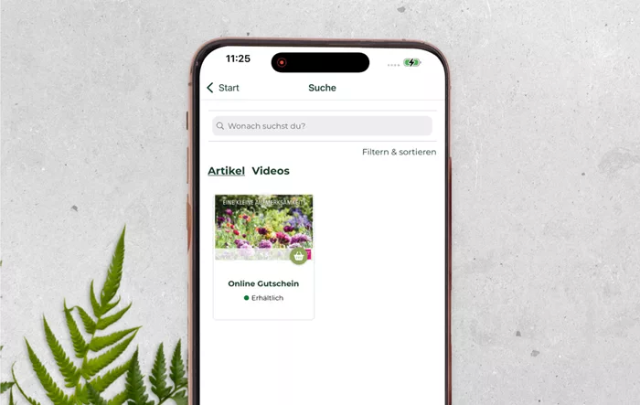 Mockup_Webshop_Radloff.png